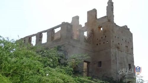 مقال من الجوال